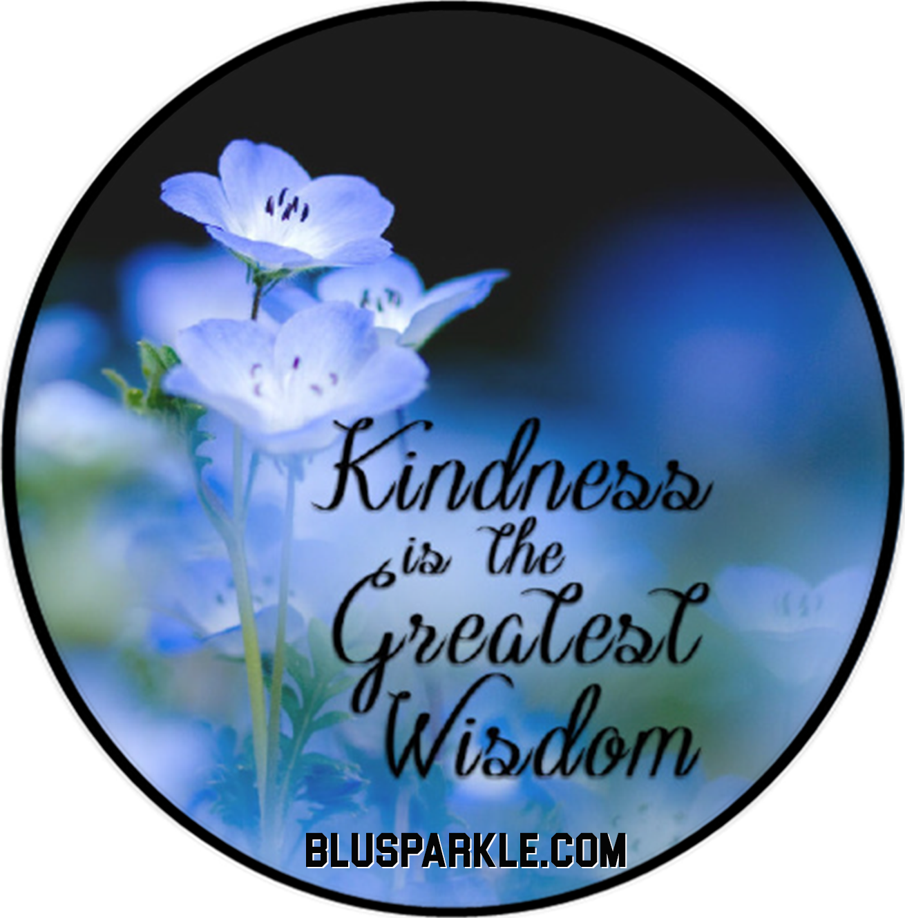 Kindness Is The Greatest Wisdom Wise Expression Sticker