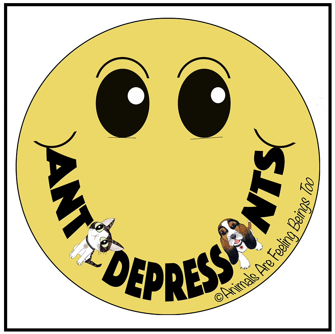 Anti-depressant Smiley Face Magnet