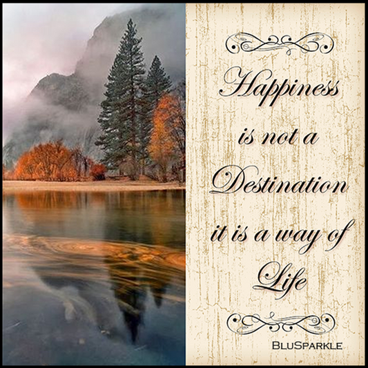 Happiness is Not a Destination it is a Way of Life Wise Expression Sticker