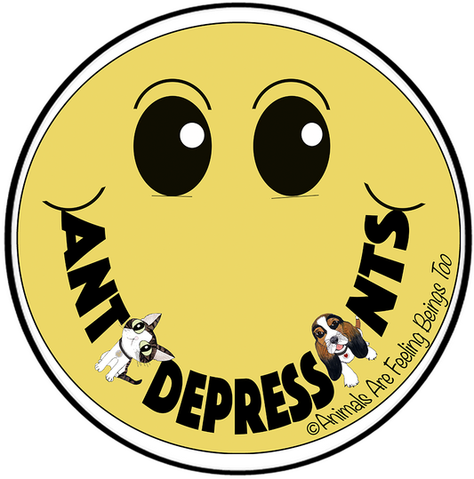 Anti-depressant Smiley Face Magnet