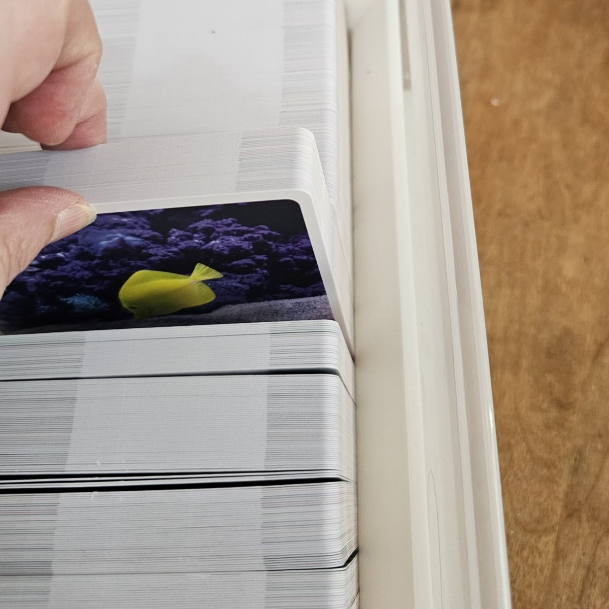 Color Cube Card Case (Sarah Renae Clark) - BluSparkle