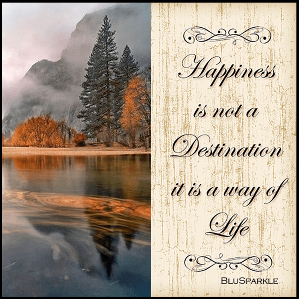 Happiness is Not a Destination it is a Way of Life 3.5" Square Wise Expression Magnet - BluSparkle