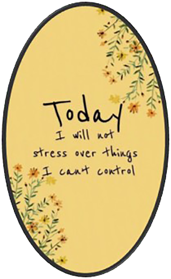 Today I Will Not Stress Over Things I Can't Control Wise Expression Sticker