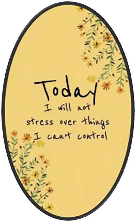 Today I Will Not Stress Over Things I Can't Control Wise Expression Sticker