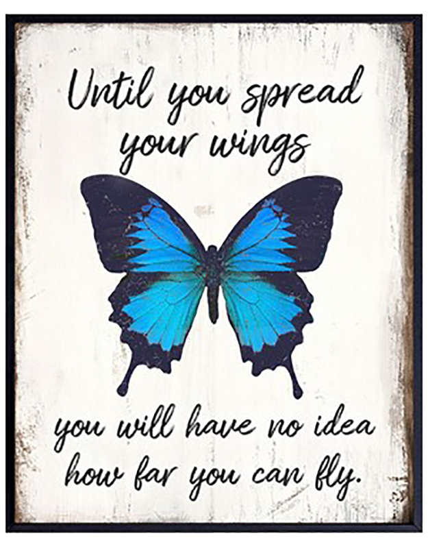 Until You Spread Your Wings You Will Have No Idea How Far You Can Fly Wise Expression Sticker