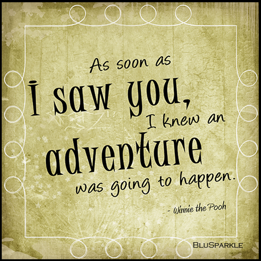 As soon as I saw you, I knew an adventure was going to happen Wise Expression Sticker