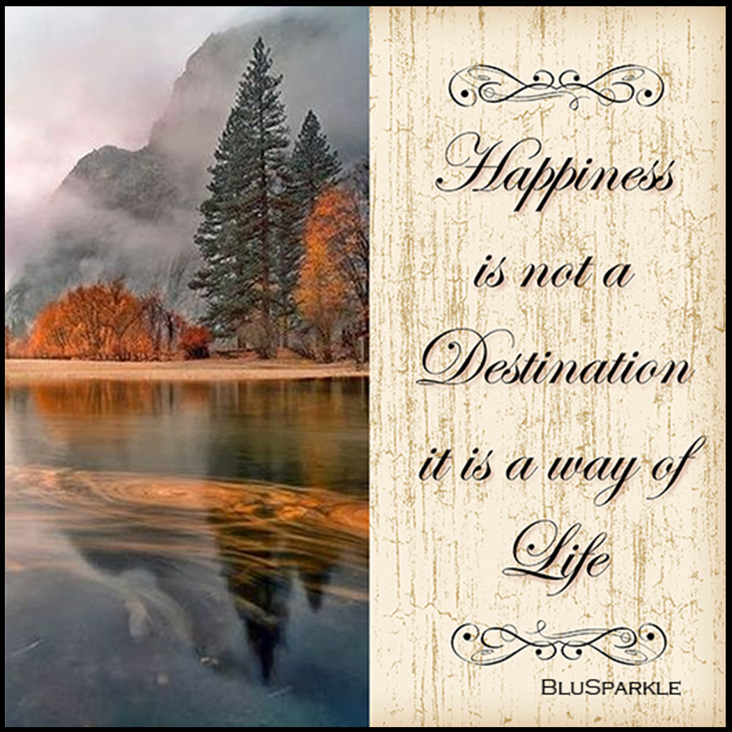 Happiness is Not a Destination it is a Way of Life 3.5" Square Wise Expression Magnet