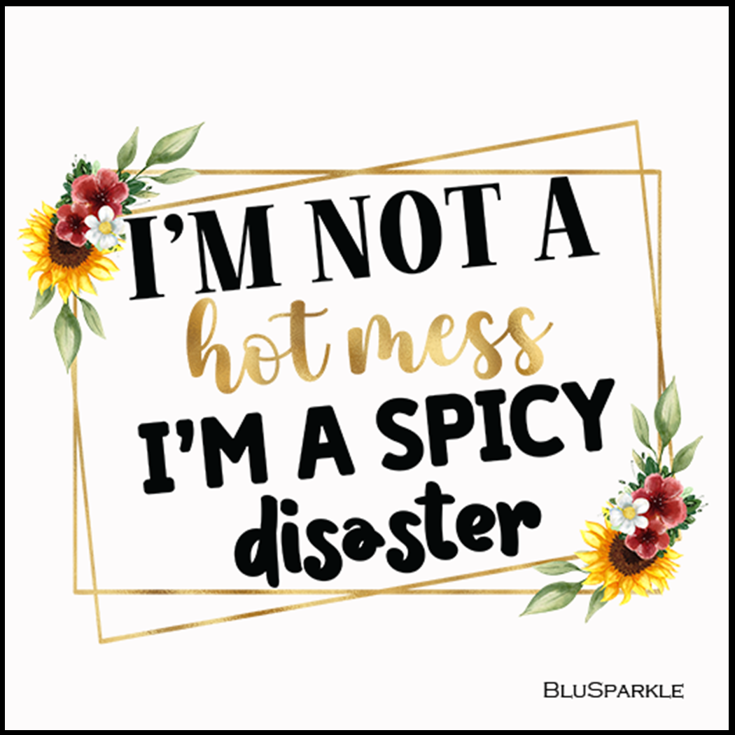 I'm Not A Hot Mess I'm A Spicy Disaster 3.5" Square Wise Expression Magnet